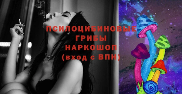 мдпв Зеленодольск