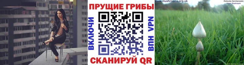 Купить где  Полысаево  Псилоцибиновые грибы Magic Shrooms 